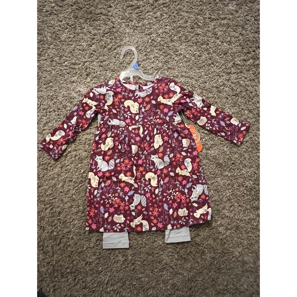 Wonder Nation Girls 2 pc Outfit Woodland Animals LS Top Leggings 24 mos New!